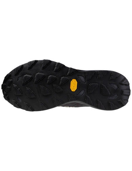 Mizuno Shoe Wawe Daichi GTX W J1GK2456