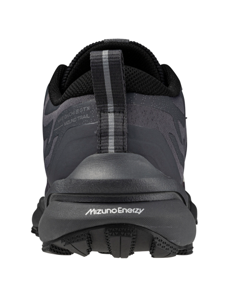 Mizuno Shoe Wawe Daichi GTX W J1GK2456